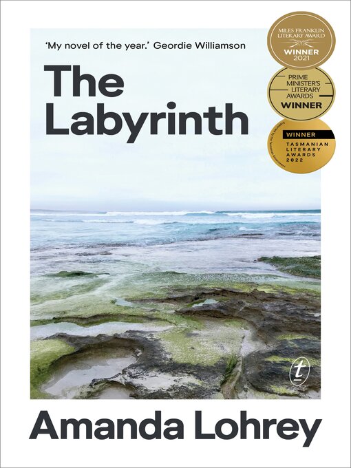 Cover image for The Labyrinth